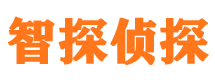 宿松智探私家侦探公司